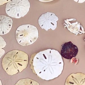 Meet your Posher, Alexa